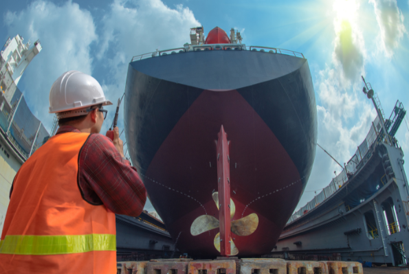Ship Inspection